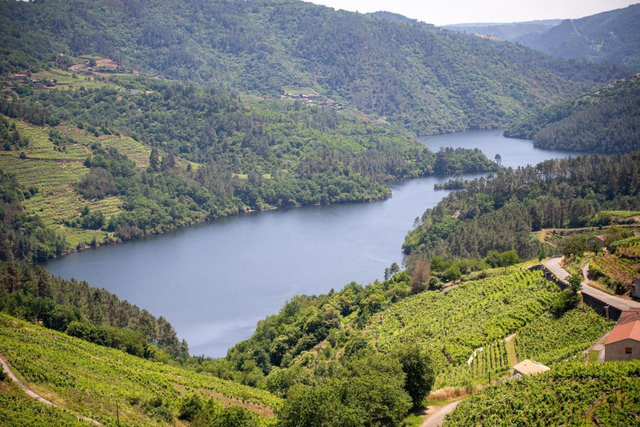 Casa Visita Ribeira Sacra Holiday home *